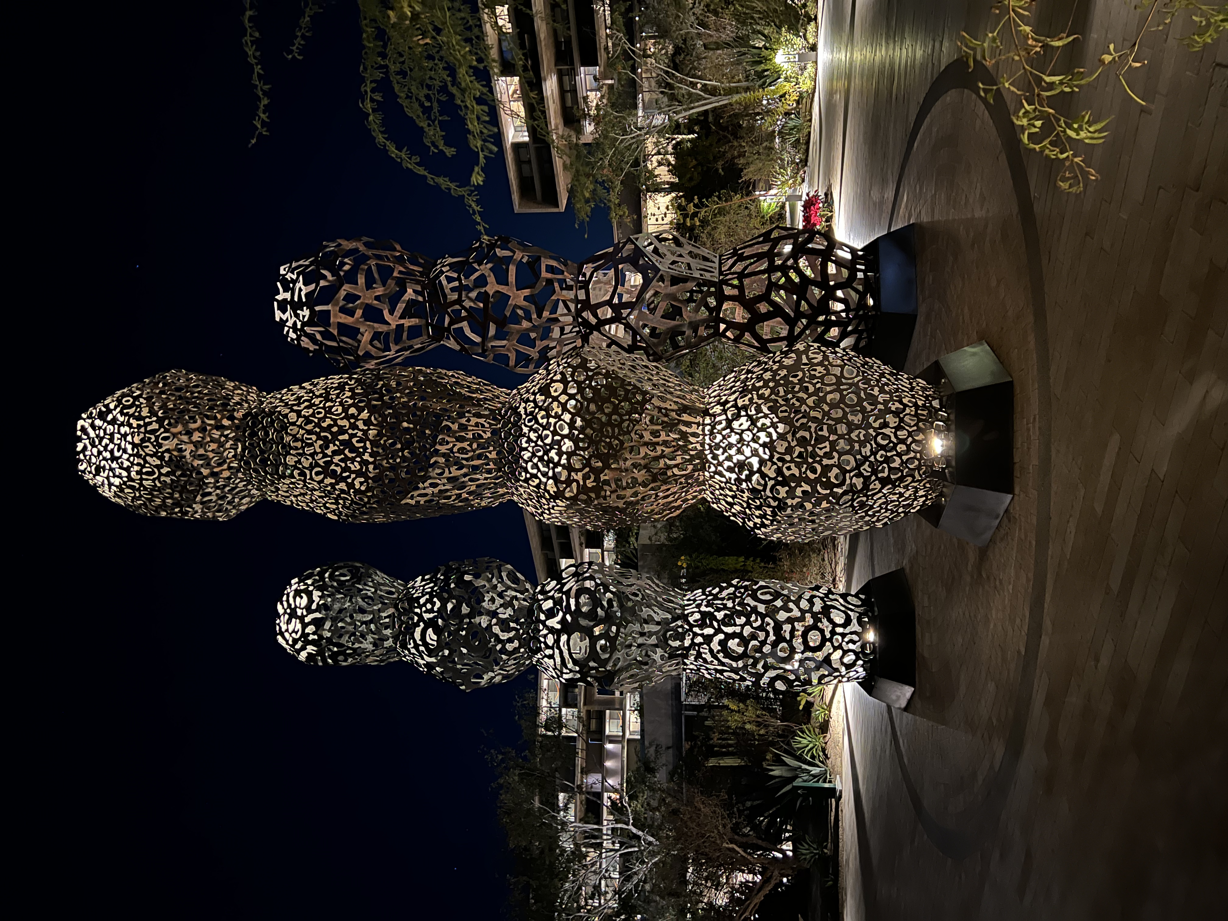 ./2024/13 - Cabo/IMG_4168.jpg